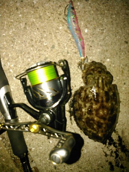 水温低下を告げるヤツ